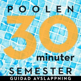 30 minuter semester- POOLEN (ljudbok) av Ola Ri