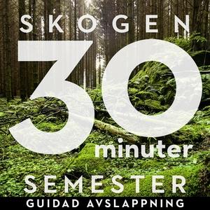 30 minuter semester- SKOGEN (ljudbok) av Ola Ri