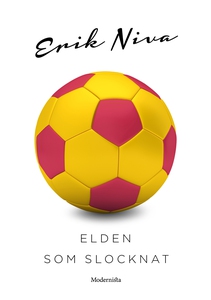 Elden som slocknat (e-bok) av Erik Niva