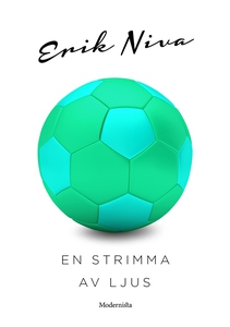 En strimma av ljus (e-bok) av Erik Niva