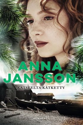 Katseelta kätketty (e-bok) av Anna Jansson