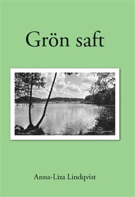Grön saft (e-bok) av Anna-Liza Lindqvist