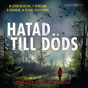 Hatad till döds (ljudbok) av Erik Eriksson, Mar