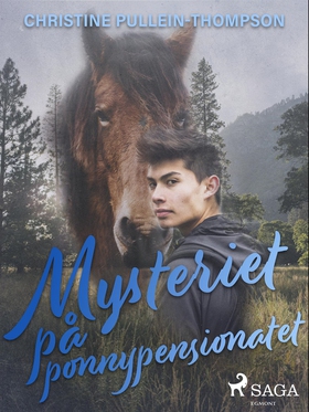 Mysteriet på ponnypensionatet (e-bok) av Christ