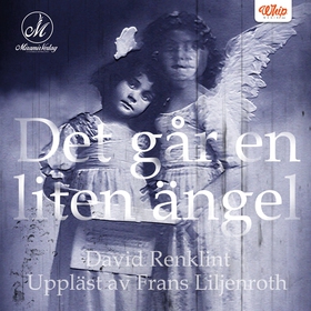 Det går en liten ängel (ljudbok) av David Renkl