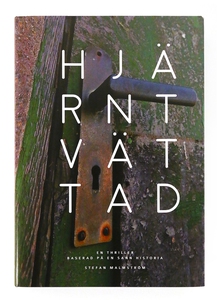 Hjärntvättad (e-bok) av Stefan Malmström