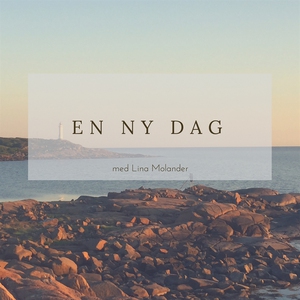 En ny dag (ljudbok) av Lina Molander