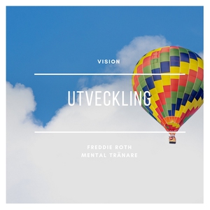 Vision (ljudbok) av Freddie Roth