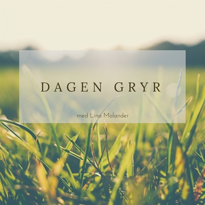 Dagen gryr (ljudbok) av Lina Molander