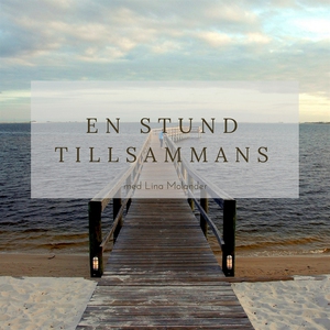 En stund tillsammans (ljudbok) av Lina Molander