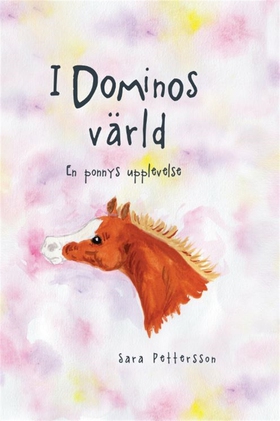 I Dominos värld (e-bok) av Sara Pettersson