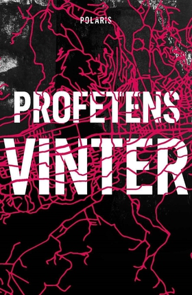 Profetens vinter (e-bok) av Håkan Östlundh