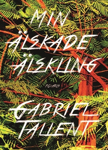 Min älskade älskling (e-bok) av Gabriel Tallent