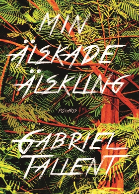 Min älskade älskling (e-bok) av Gabriel Tallent