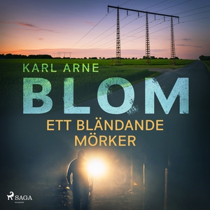 Ett bländande mörker (ljudbok) av Karl Arne Blo