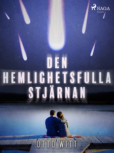 Den hemlighetsfulla stjärnan (e-bok) av Otto Wi