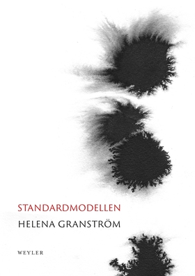 Standardmodellen (e-bok) av Helena Granström