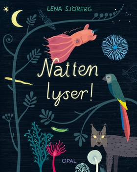Natten lyser (e-bok) av Lena Sjöberg