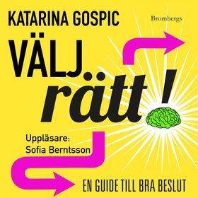 Välj rätt! : en guide till bra beslut (ljudbok)