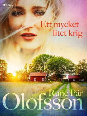 Ett mycket litet krig (e-bok) av Rune Pär Olofs