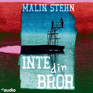 Inte din bror (ljudbok) av Malin Stehn