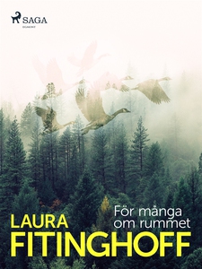 För många om rummet (e-bok) av Laura Fitinghoff