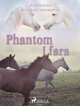 Phantom i fara (e-bok) av Christine Pullein-Tho