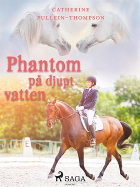 Phantom på djupt vatten (e-bok) av Christine Pu