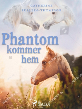 Phantom kommer hem (e-bok) av Christine Pullein