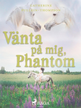 Vänta på mig, Phantom (e-bok) av Christine Pull