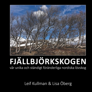 FJÄLLBJÖRKSKOGEN: vår unika och ständigt föränd