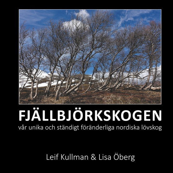 FJÄLLBJÖRKSKOGEN: vår unika och ständigt föränderliga nordiska lövskog