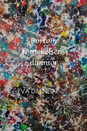 Bortom förnekelsens dimmor (e-bok) av Eva Dilln