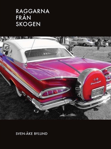 Raggarna från skogen (ljudbok) av Sven-Åke Bylu