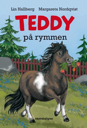 Teddy på rymmen (e-bok) av Lin Hallberg