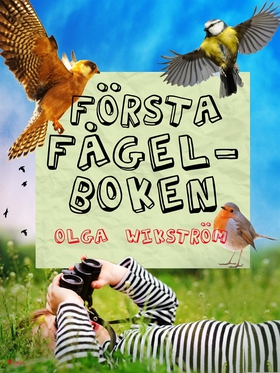 Första fågelboken (e-bok) av Olga Wikström