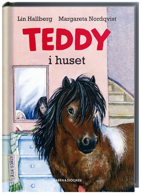 Teddy i huset (e-bok) av Lin Hallberg