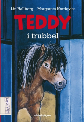 Teddy i trubbel (e-bok) av Lin Hallberg