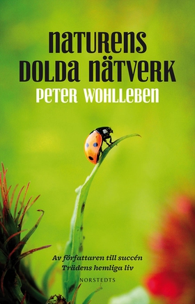 Naturens dolda nätverk (e-bok) av Peter Wohlleb