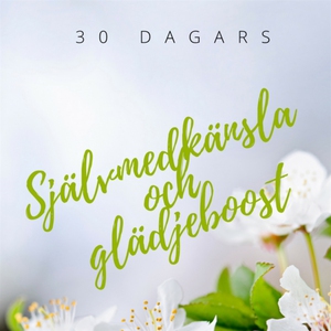 Självmedkänsla och glädjeboost (ljudbok) av Hel