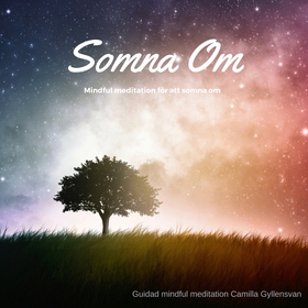 Somna om (ljudbok) av Camilla Gyllensvan