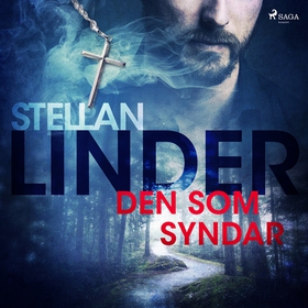 Den som syndar (ljudbok) av Stellan Linder
