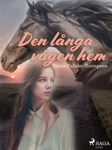 Den långa vägen hem (e-bok) av Diana Pullein-Th