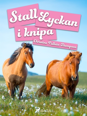 Stall Lyckan i knipa (e-bok) av Christine Pulle