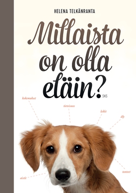 Millaista on olla eläin? (e-bok) av Helena Telk