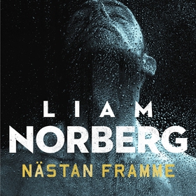 Nästan framme (ljudbok) av Liam Norberg