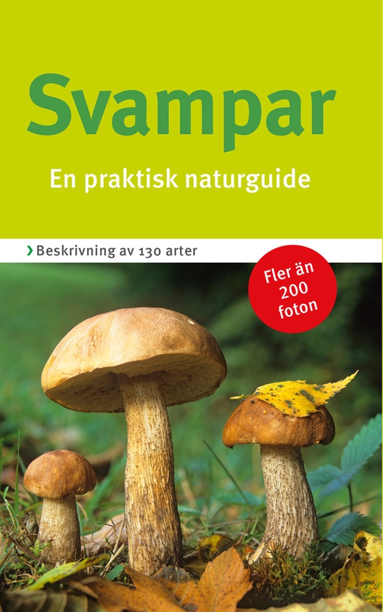Svampar : en praktisk naturguide
