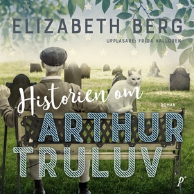 Historien om Arthur Truluv (ljudbok) av Elizabe
