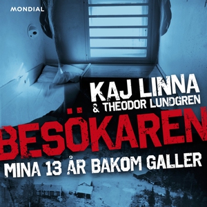 Besökaren : mina 13 år bakom galler (ljudbok) a