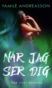 När jag ser dig (e-bok) av Yamilé Andreasson